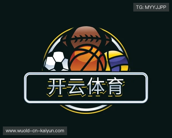 介绍开云入口平台